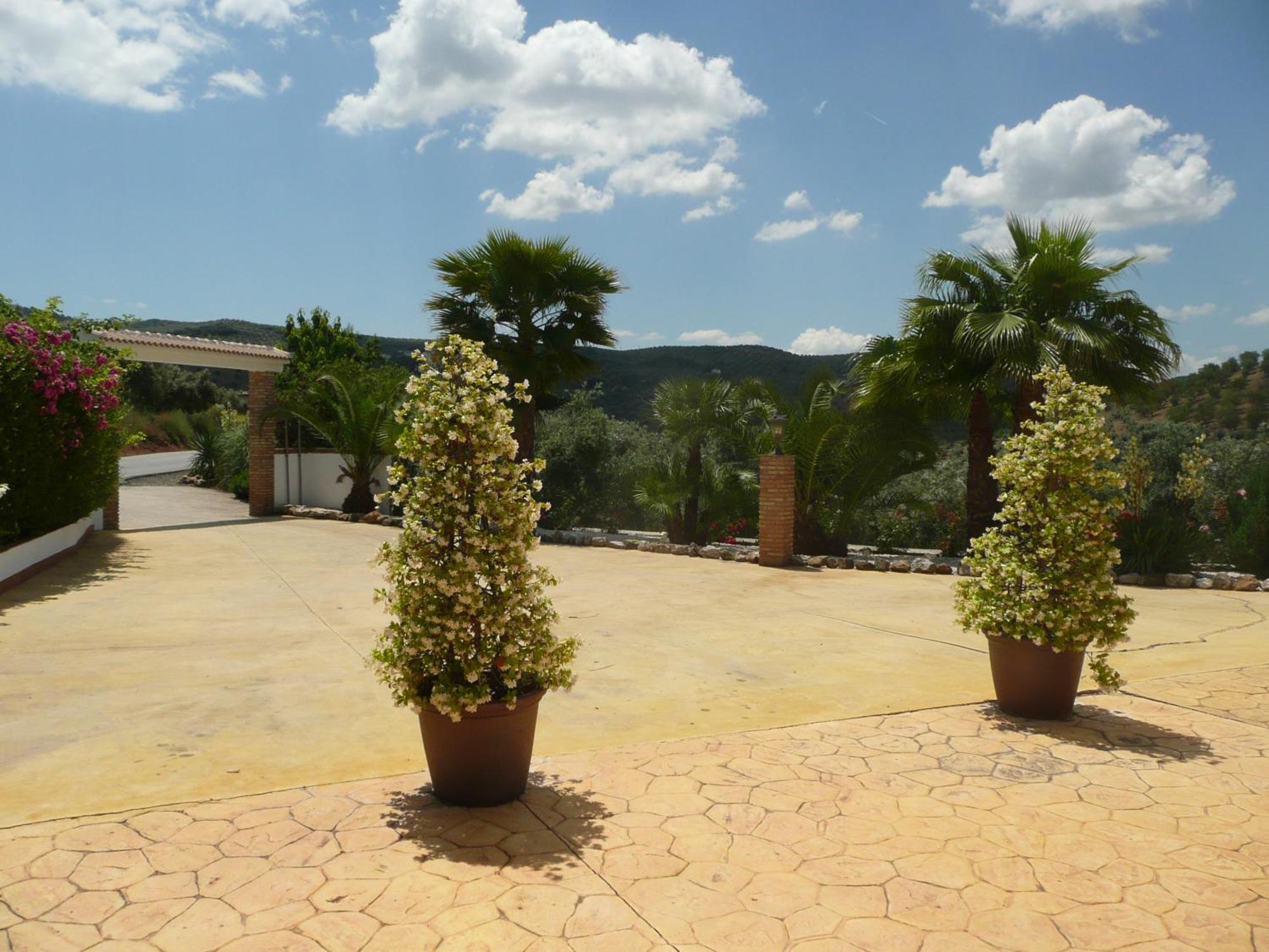 Ferienwohnung Casa Pino Solo Iznájar Exterior foto